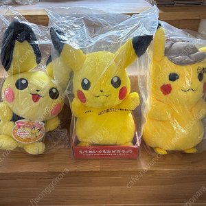 포켓몬스터 피카츄 인형 (타카라토미 /월간피카츄/야돈/늪짱이/이브이)