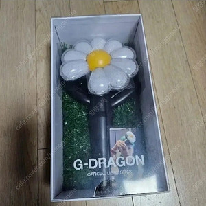 지드래곤 응원봉