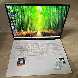 LG 그램 17인치 2020 10세대 i5