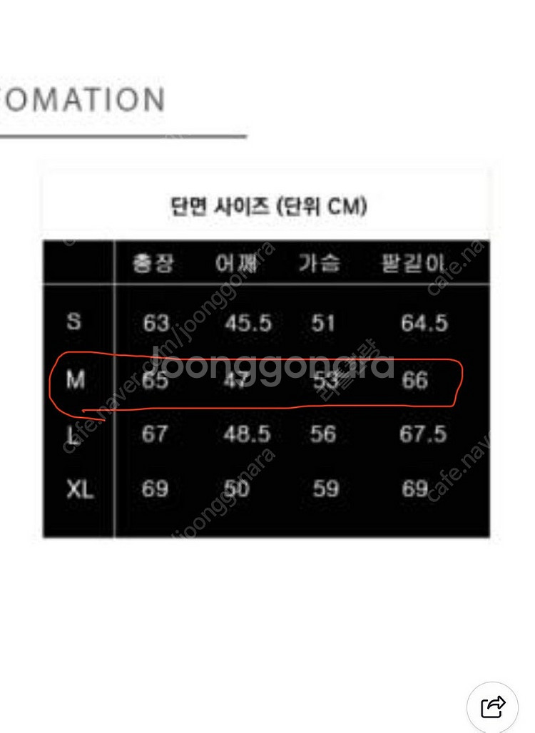 파라점퍼스 고비 23년식 M사이즈 (S급)--9