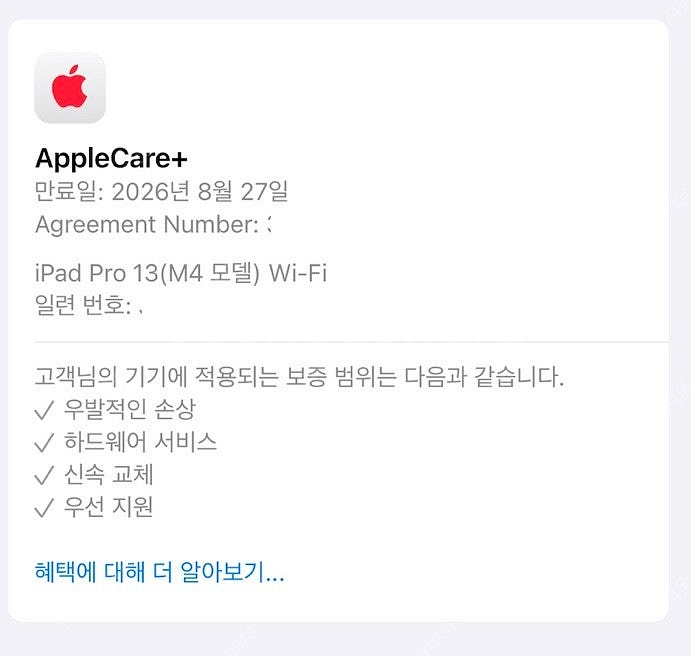 애케플 + 아이패드 프로 m4 13인치 512기가 + ...--1