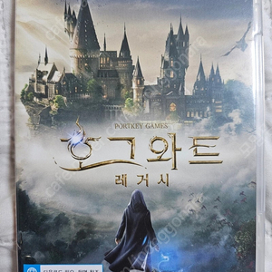 닌텐도 스위치 호그와트 레거시