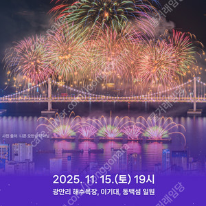 제20회 부산불꽃축제 S석 그린존 2연석 양도