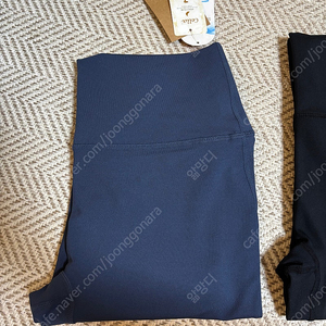 스콜피그 레깅스