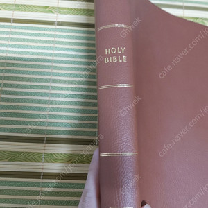 NRSV update edition 존더반 영어성경