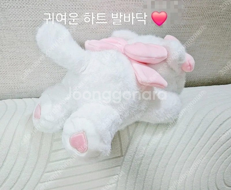 미코캐릭터즈 라잉인형 무스 수플레 강아지 고양이 인형--3