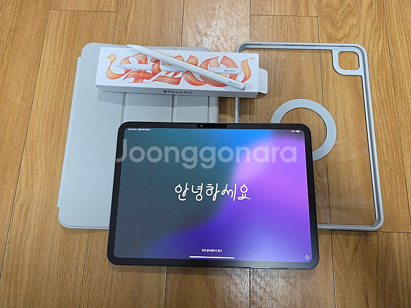 아이패드 프로11 M4 256--0