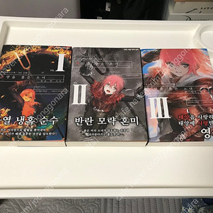 라노벨 라이트 노벨 태양을 품은 소녀 완결 일부 초판