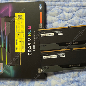 클레브 ddr5 6400 cl32 48기가(24*2) 램 팝니다