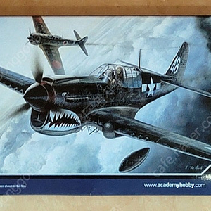 1/72 P-40 M/N 워호크 아카데미