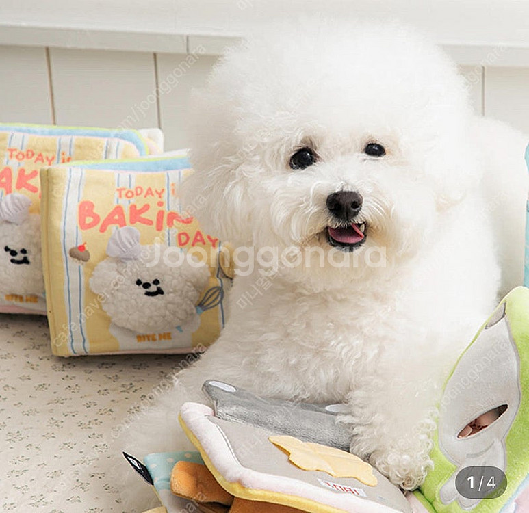 바잇미 베이킹데이 노즈워크 플레이북 새상품--2