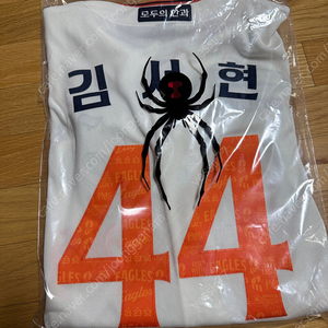 한화 40주년 유니폼 어센틱 김서현 105