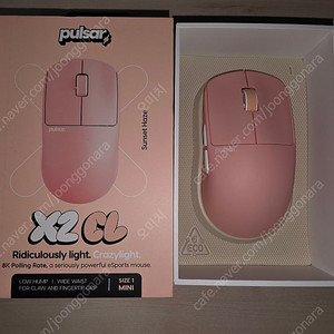 펄사 Pulsar X2 CL (Crazylight) 선셋헤이즈 색상 판매