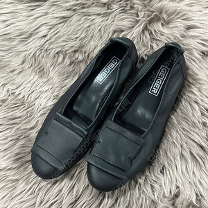 GEIGER 에토프 플랫 250(택포)