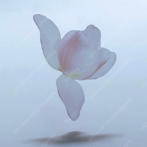 (미개봉) 한정판 이옥토 튤립 책갈피 포함 처음 본 새를 만났을 때처럼 북마크 꽃갈피 꽃책갈피