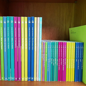 그레이프시드 13,16,18,20,21