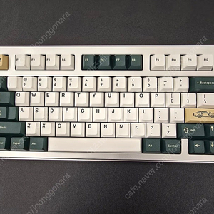 Owlab jelly evolv silver 오울랩 젤리 이볼브 실버 싱글 블로커