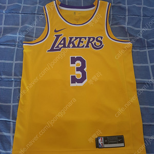 (나이키) NBA 앤써니 데이비스 레이커스 스윙맨 져지 M