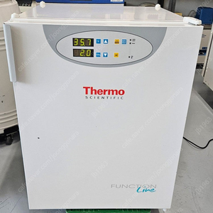 Thermo BB 15 CO2 Incubator