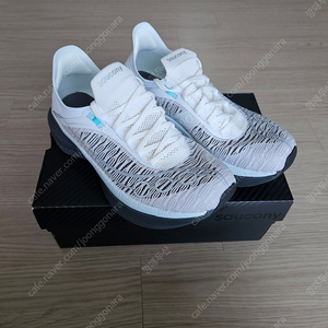 써코니 엔돌핀 엘리트2 270
