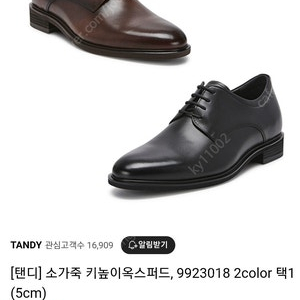 [탠디] 소가죽 키높이(5cm) 옥스퍼드(255~260)