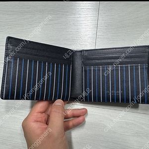 질스튜어트 반지갑