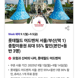 롯데월드 서울 종합이용권(총 2장, 장당 2000원)