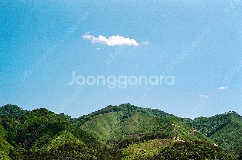 라이카 주미크론 50mm f2 4세대 팝니다--9