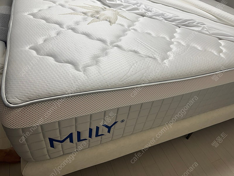 [1개월 사용] MLILY 엠프로브 3.0 이스턴킹 매트리스 (서울/경기 운송비포함) 이미지