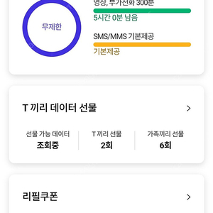 SKT 데이터 2기가 (2500)