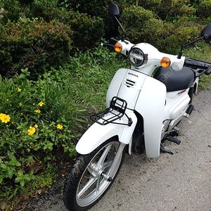 슈퍼커브 화이트 23년식 180만