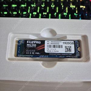 패스트로 NVMe SSD 1.9TB