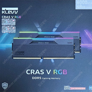 KLEVV CRAS V RGB DDR5 6000 48G(24G x 2)램 판매합니다