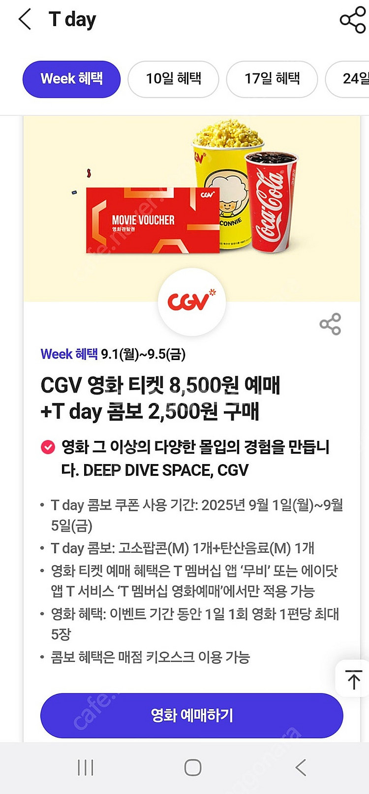 티데이 처갓집 셀러디 롯데월드 모아진 CGV 콤보 미트프로젝트--5