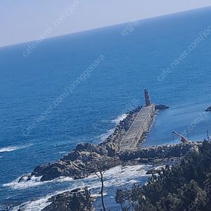 9월6일 문학.ssg.롯데경기 3연석 저렴하게주실분..
