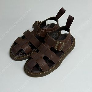 닥터마틴 갈리아 피셔맨 샌들 탄 GALIA FISHERMAN SANDAL - TAN