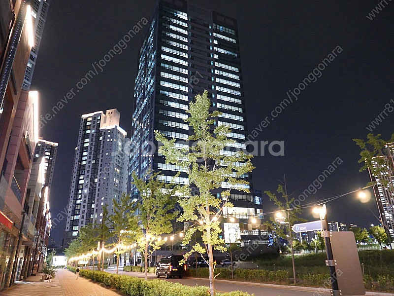 라이카 D-lux8--2