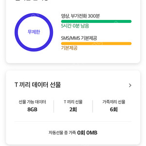 Sk데이터 2기가