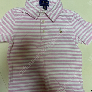 폴로2T 카라티 폴로 2T반바지 팝니다 이미지