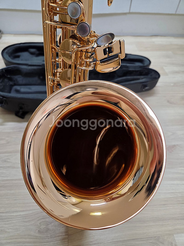 알버트웨버 테너색소폰 T96-GP 깨끗한 중고 판매합니다.--7