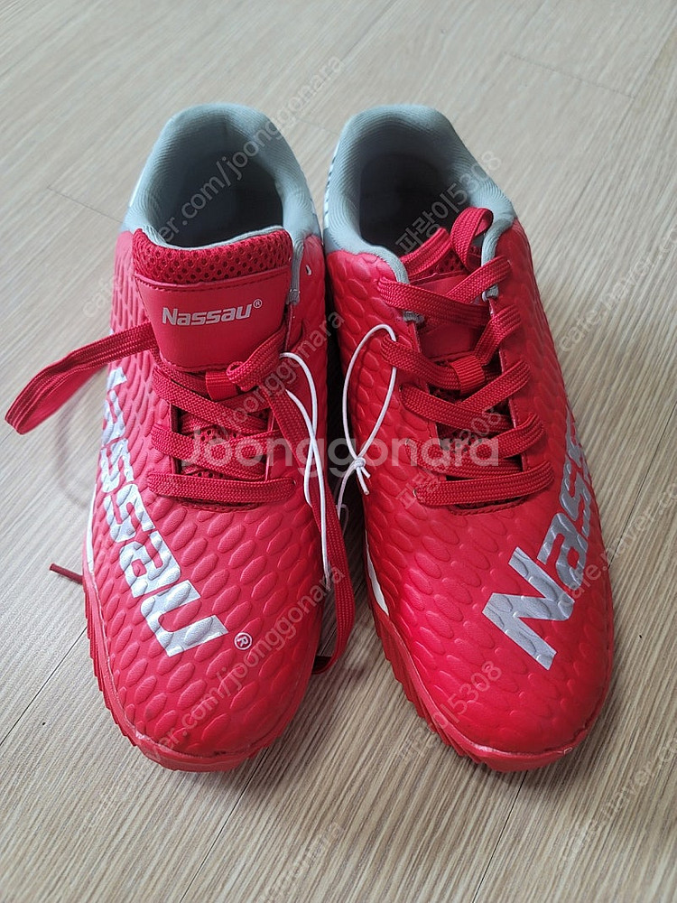 낫소 큐스펙트 타이거--2