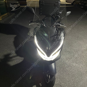 Pcx 더뉴