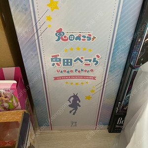 프링 페코라
