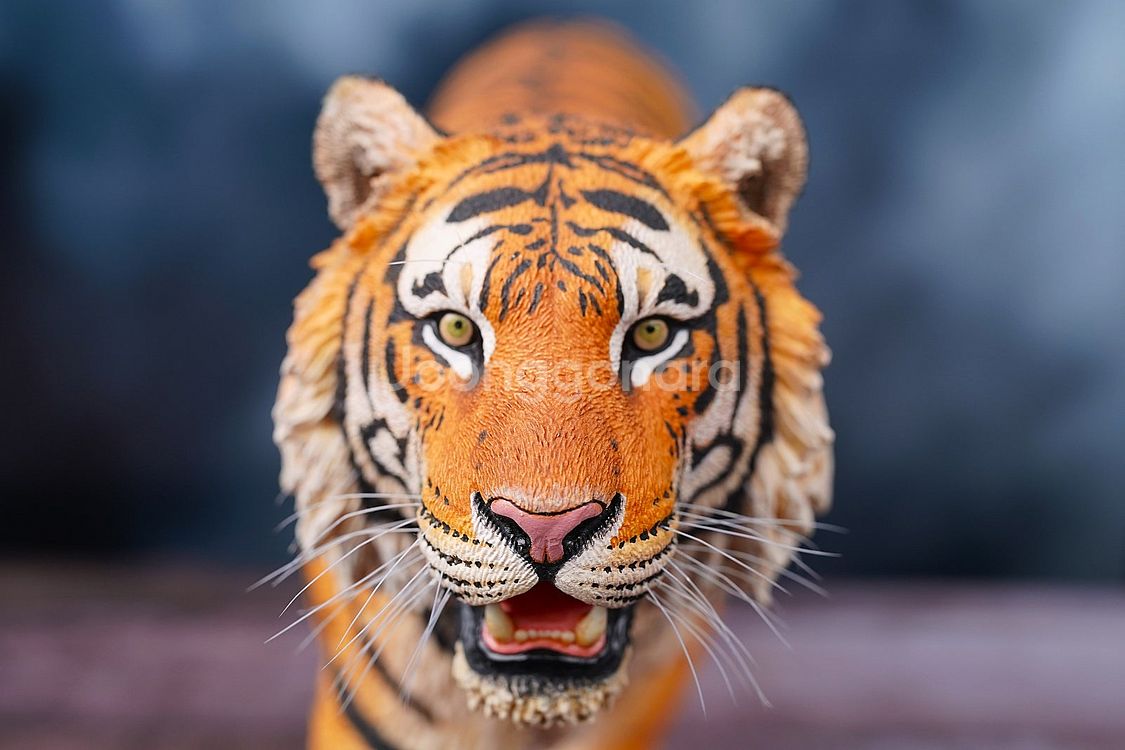 1/6 작가 시베리아 호랑이, 수마트라 호랑이, 핫토이 스타워즈 시리즈, 루즈 판매--1