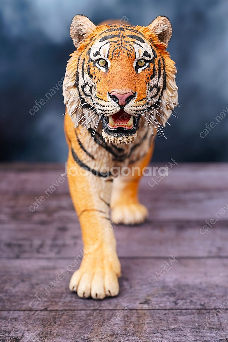 1/6 작가 시베리아 호랑이, 수마트라 호랑이, 핫토이 스타워즈 시리즈, 루즈 판매--0