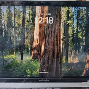 맥북 프로 13인치 19년형 i5/16gb/256gb 터치바