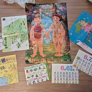 아람,내친구사회공룡,기탄 지도, 한자급수 포스터/천개의바람성교육책,키즈엠,탄탄지식그림,칼데콧상,데이비드 위즈너~