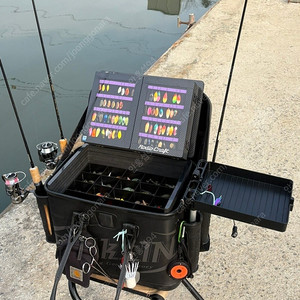 송어 발케인 바칸 이미지