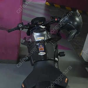 2019 듀크790