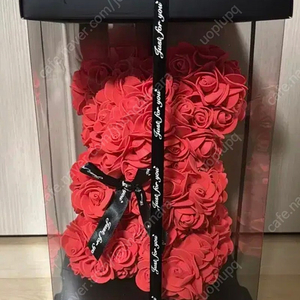장미곰돌이